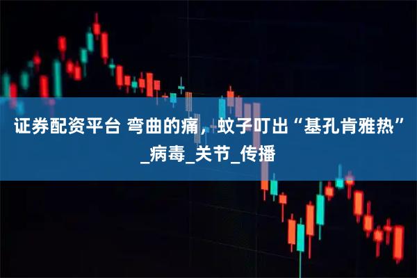 证券配资平台 弯曲的痛，蚊子叮出“基孔肯雅热”_病毒_关节_传播
