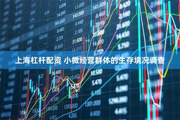 上海杠杆配资 小微经营群体的生存境况调查