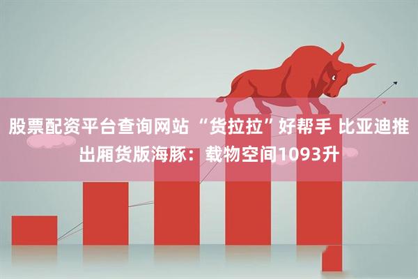 股票配资平台查询网站 “货拉拉”好帮手 比亚迪推出厢货版海豚：载物空间1093升